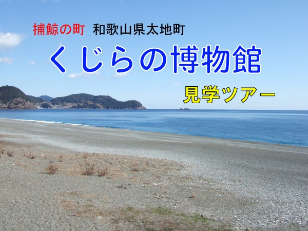 http://hakkaku-culture.info/webmagazine/images/kujira001.jpg